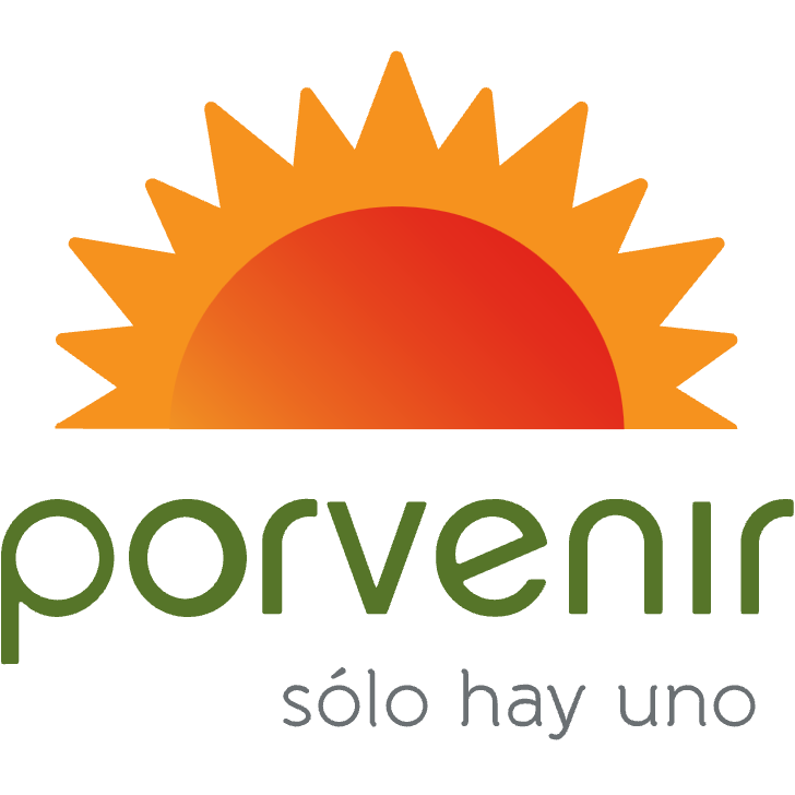 logo porvenir